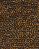 240x355 Parade Square Brown                                  