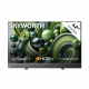 Skyworth 42
